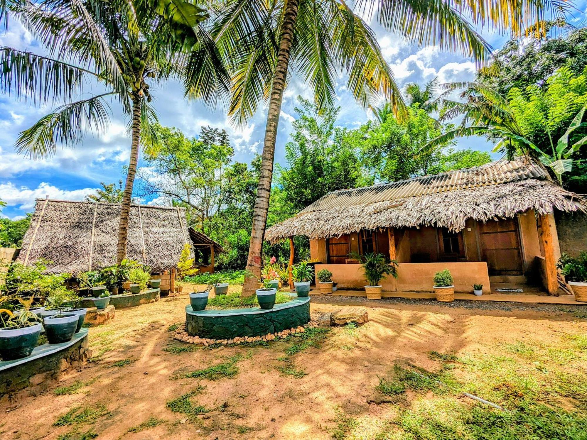 Lodge Maika Safari Uda Walawe